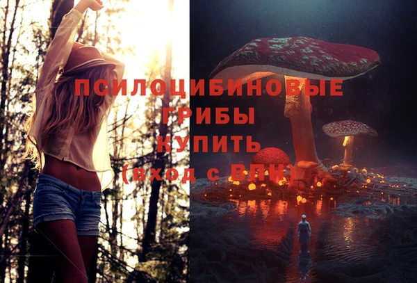 spice Абдулино