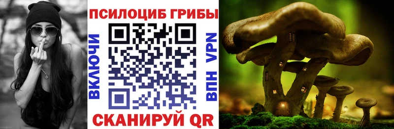 Псилоцибиновые грибы GOLDEN TEACHER  Холмск 